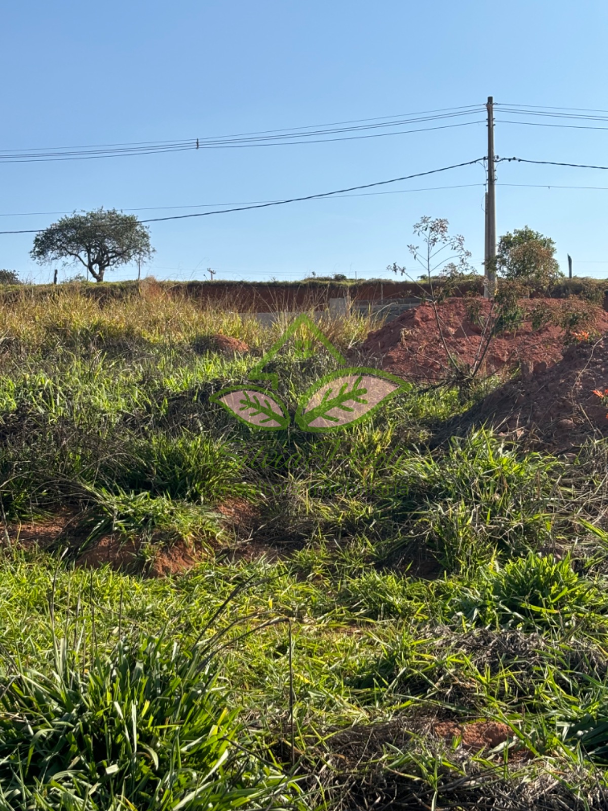 Terreno à venda, 383m² - Foto 12